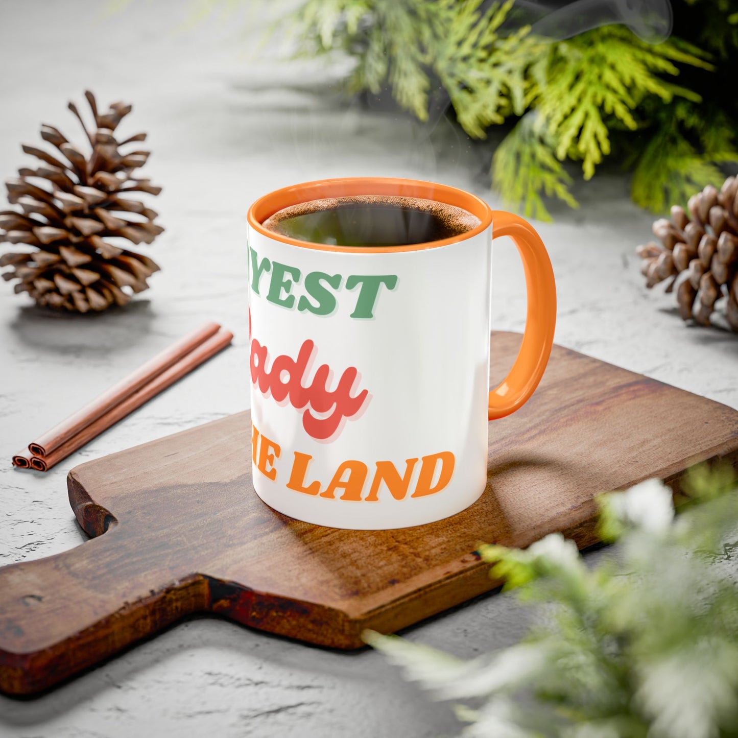 Gayest Lady Mug 11oz/15oz