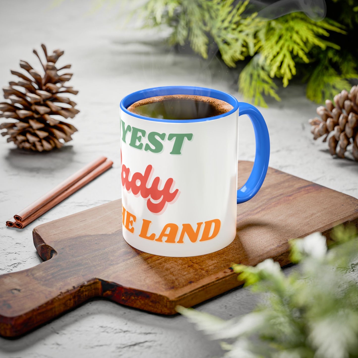 Gayest Lady Mug 11oz/15oz